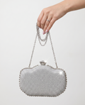 Viny Crystal Minaudière Clutch – Jewel Clasp